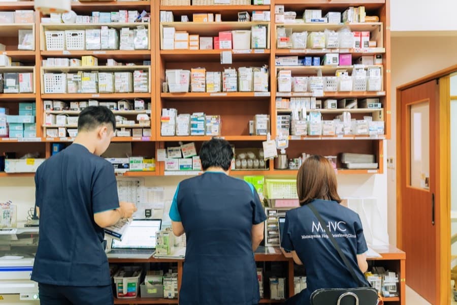 PAWS CLINIC 北条 診療の現場