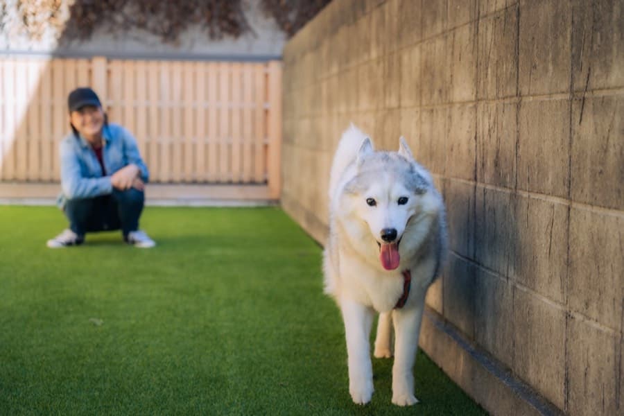 PAWS SALON らしくら
