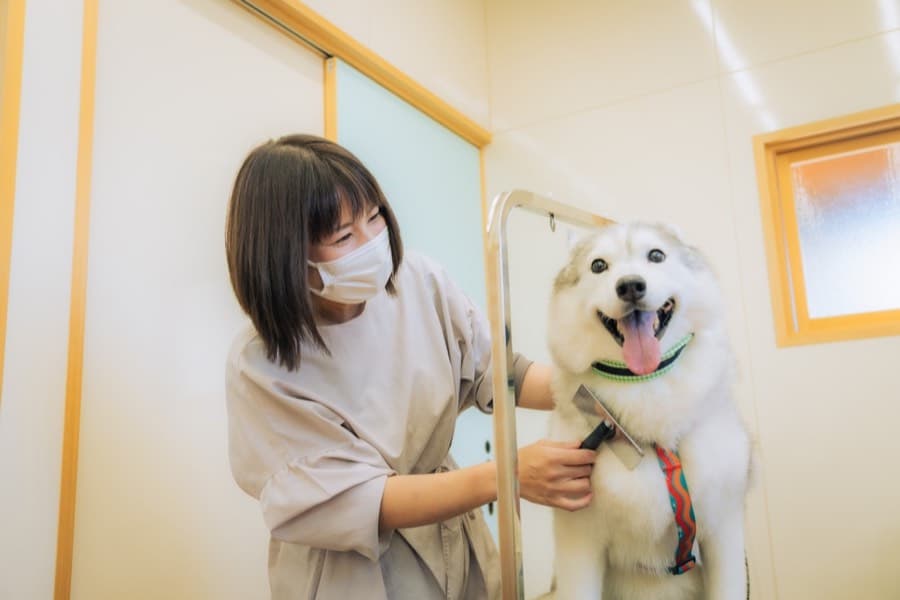 PAWS SALON らしくら