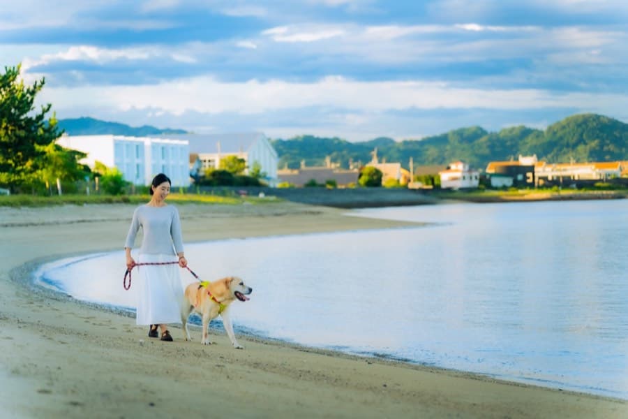 北条の街並み