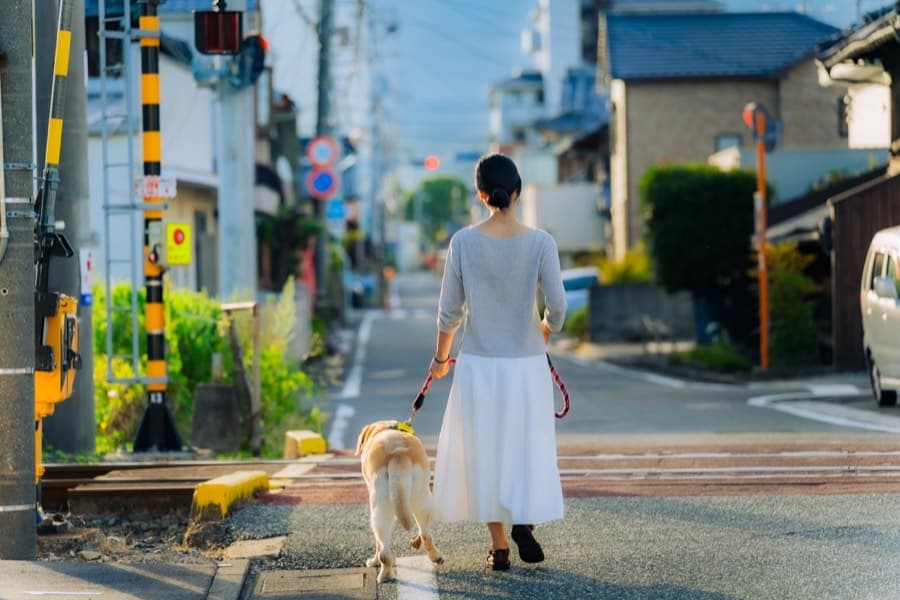 北条の街並み