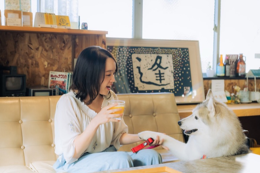 PAWS CAFE EKINONEKI